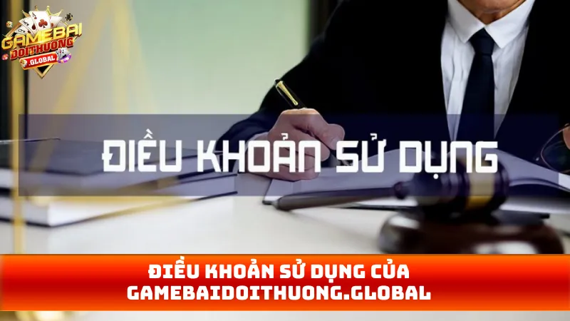 Điều khoản sử dụng của afbadvocatuur.nl