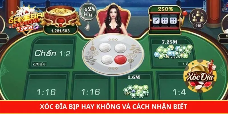 Xóc Đĩa Bịp Hay Không Và Cách Nhận Biết Trang Cược Xanh Chín